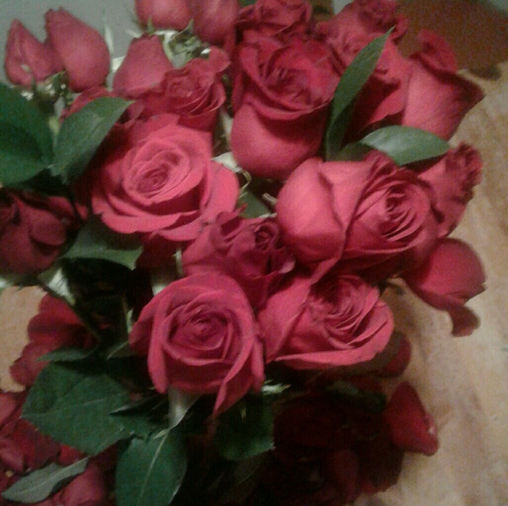 Meet your Posher, Julie